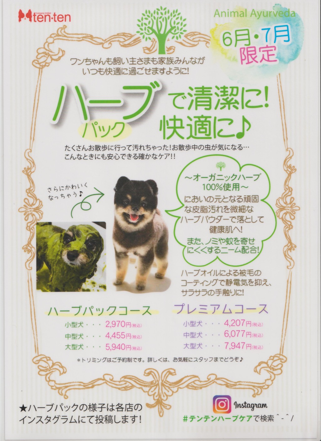 ６月・７月トリミングのイベント