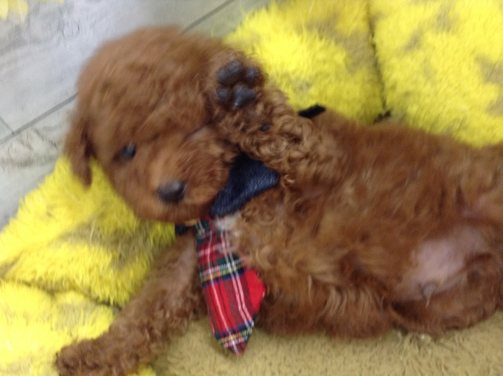 ⛱Ｎew♡Ｆace⛱