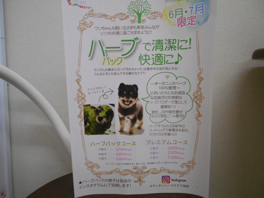 6・７月限定おすすめコース🍃🛁