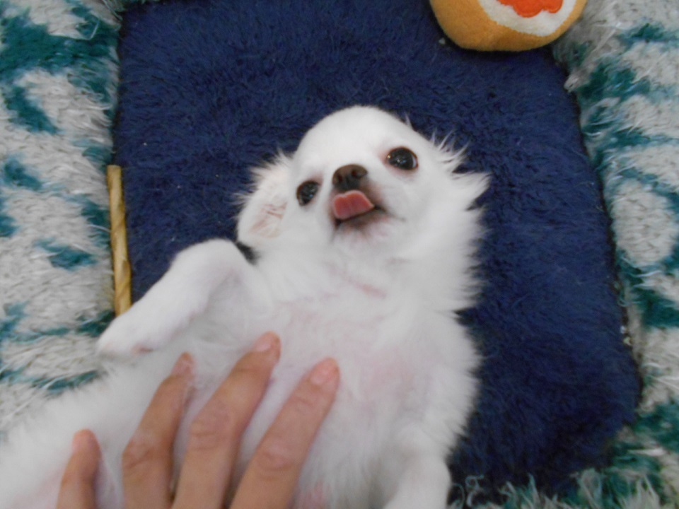 ☆ごろ～ん☆