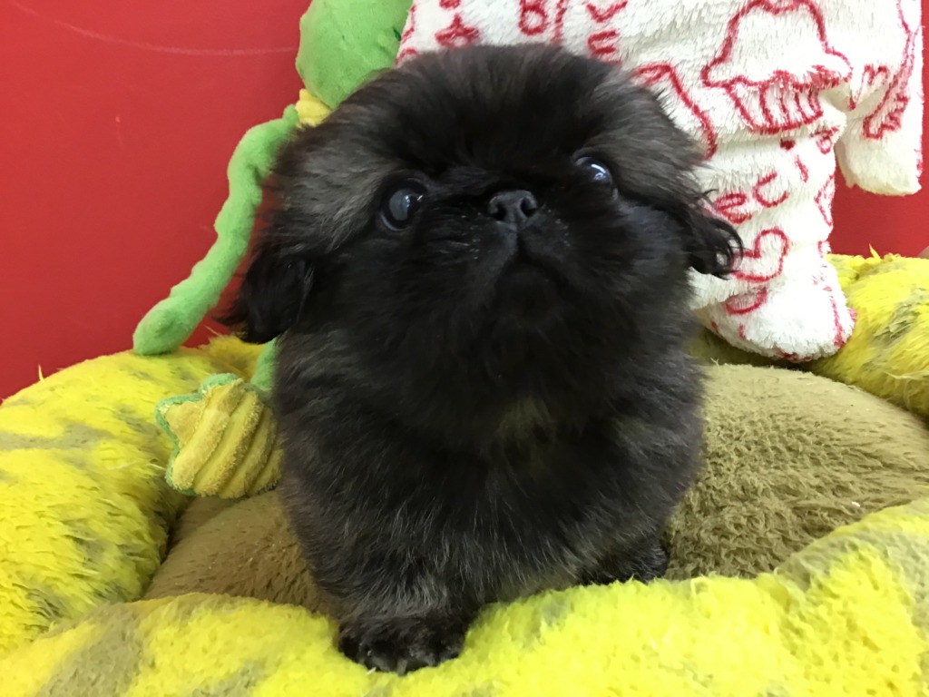 ☆お知らせ☆