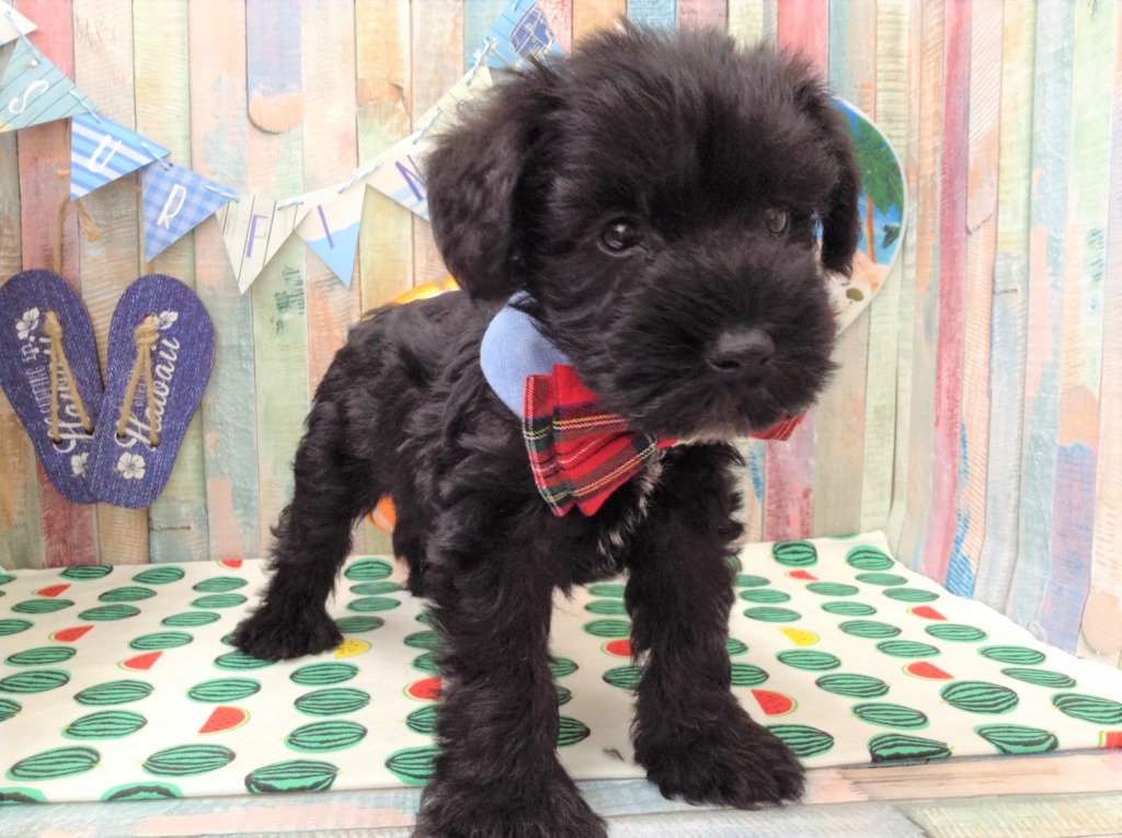 ☺ＮＥＷ♡ＦＡＣＥ☺