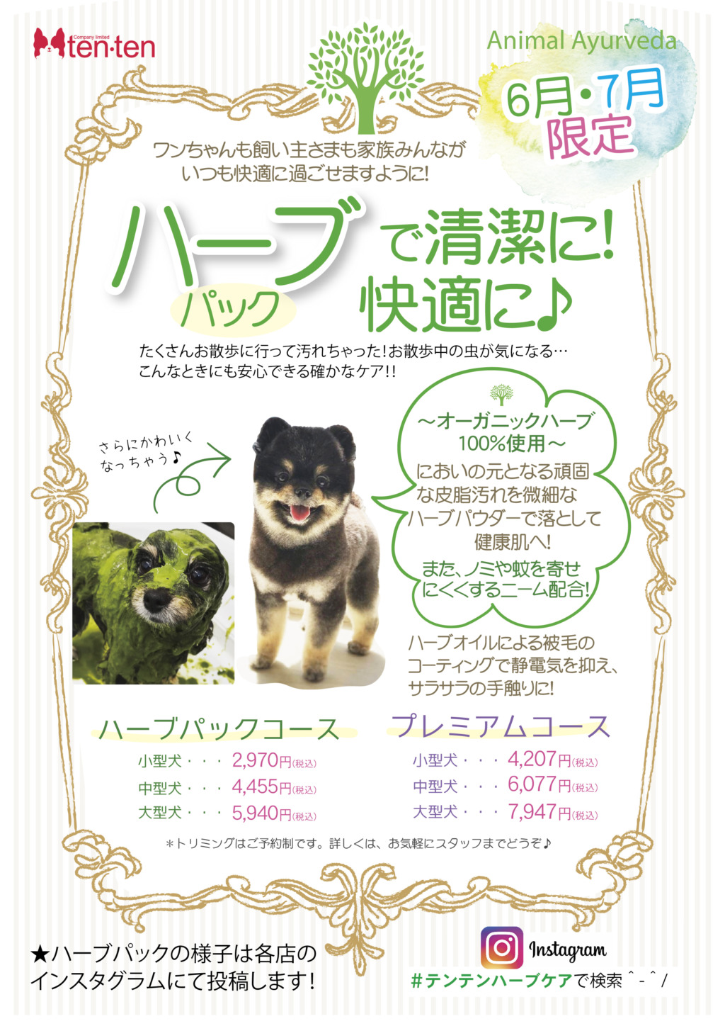 ★トリミング空き状況のお知らせ★