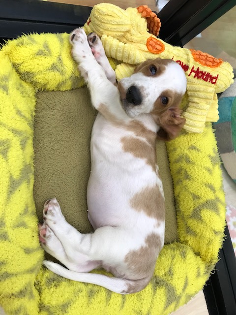 あら！かわいい(≧∇≦)