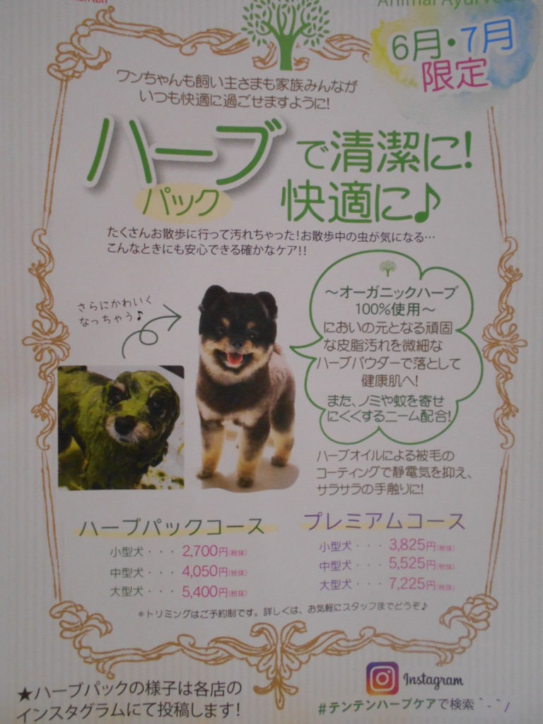 ★トリミング空き状況のお知らせ★