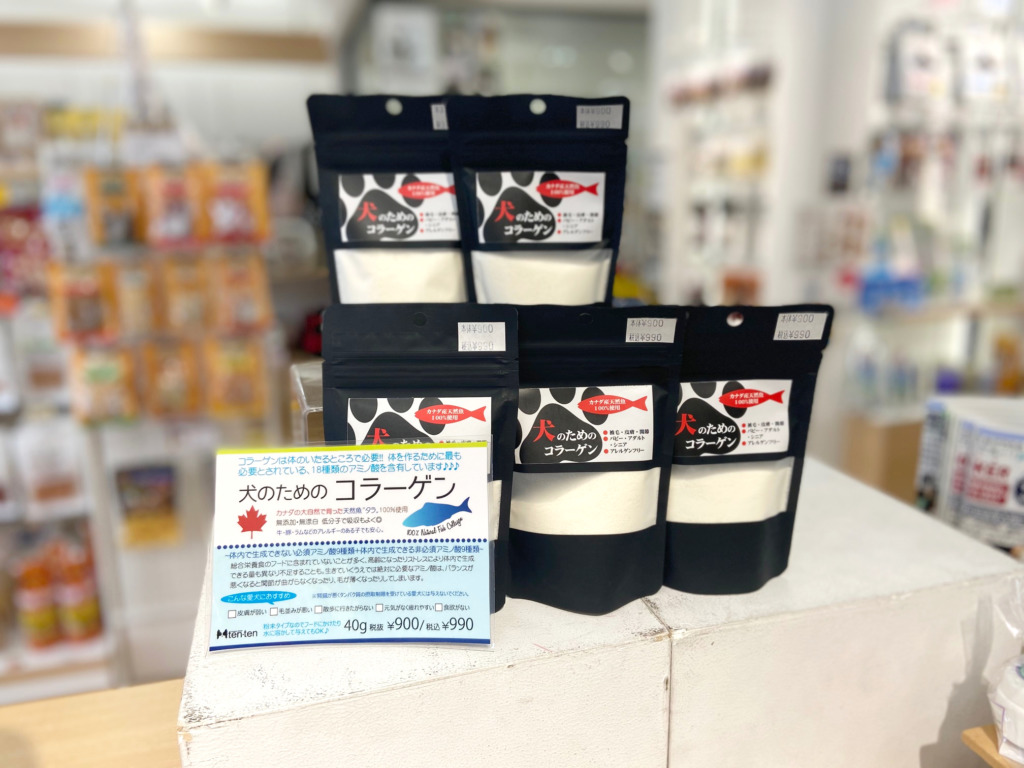 札幌 ペットショップ | ペットハウステンテン |トリミング | 猫トリミング | ペットホテル |ペットハウステンテン