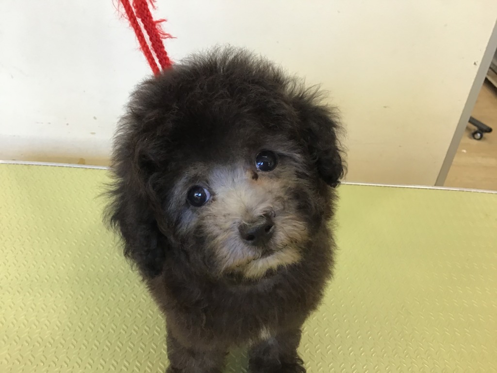 プーちゃんの初体験✨