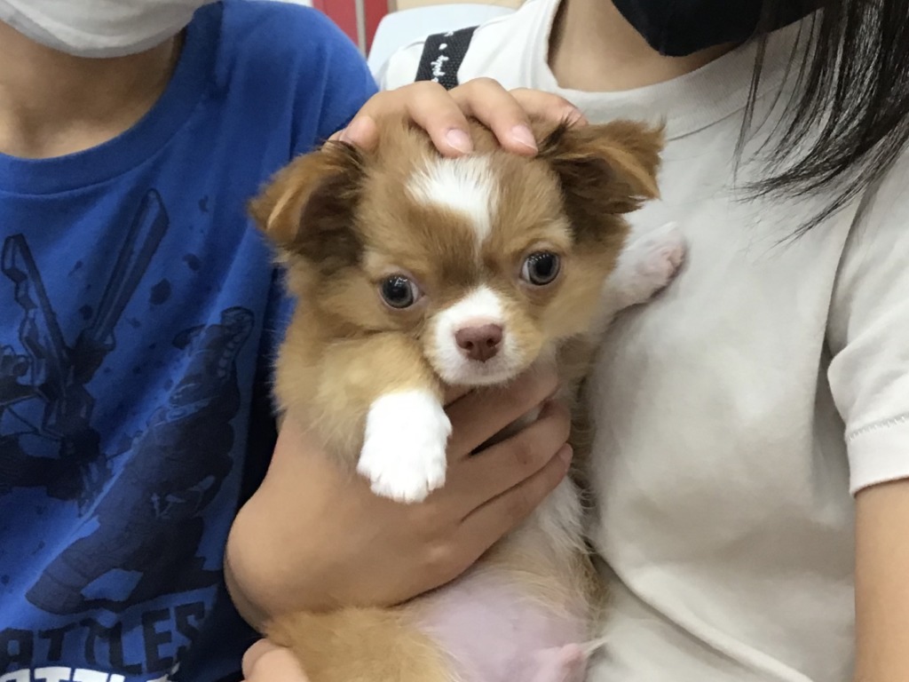 ☆お家決まりました☆