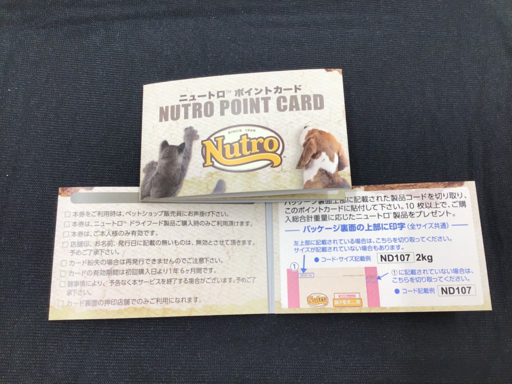 ✨スタンプカード✨