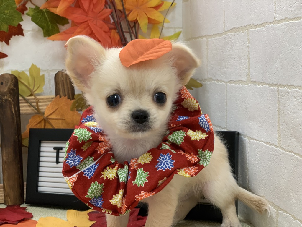 ⭐はじめまして⭐