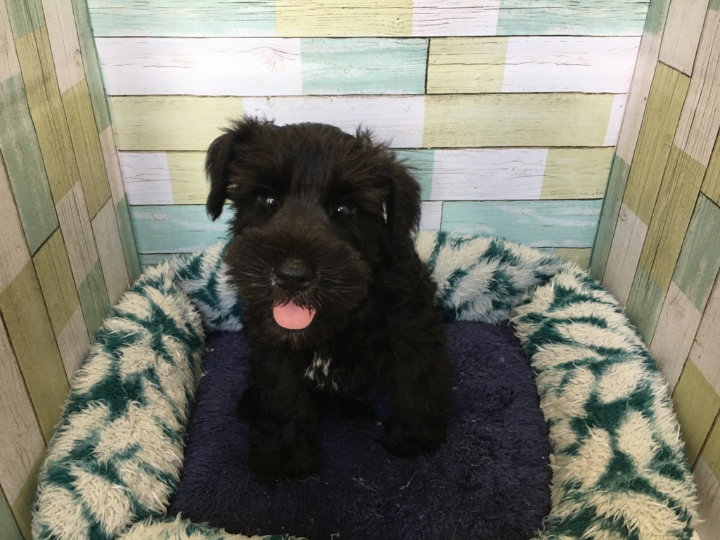 　　新しい子がやってきました！！