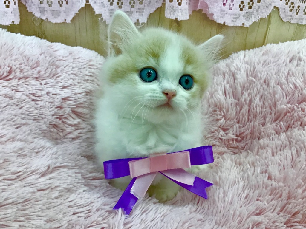 今日と明日はお得な２日間！