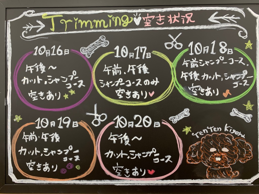 ✂トリミング空き状況✂