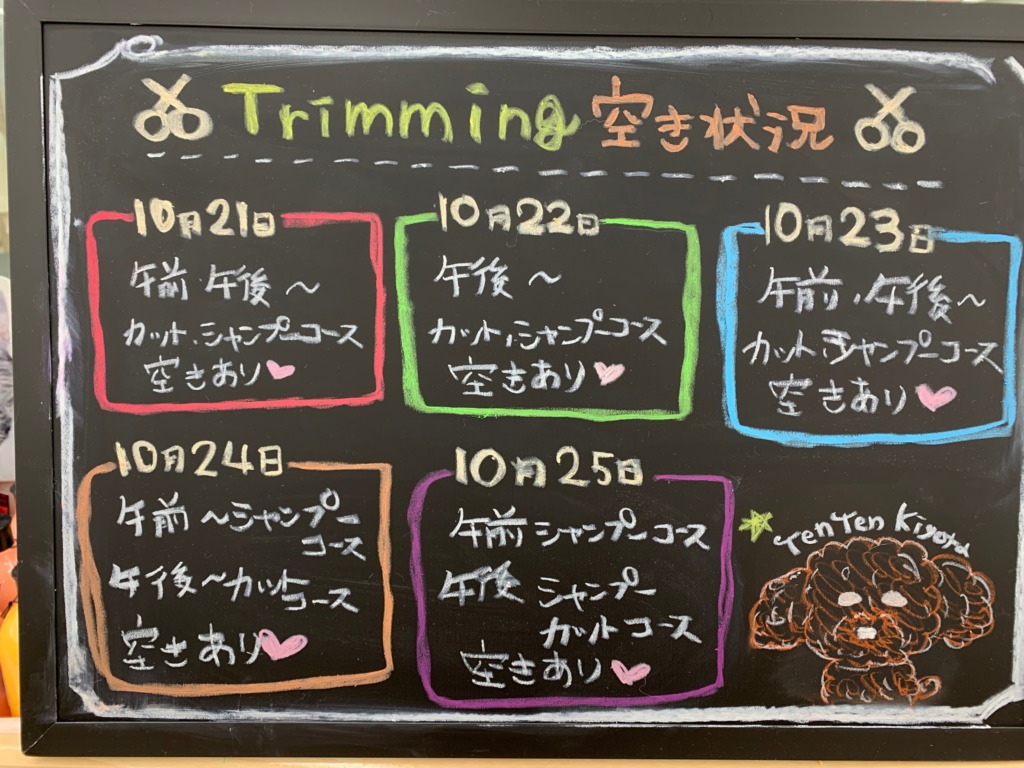 トリミング空き状況のお知らせ♪