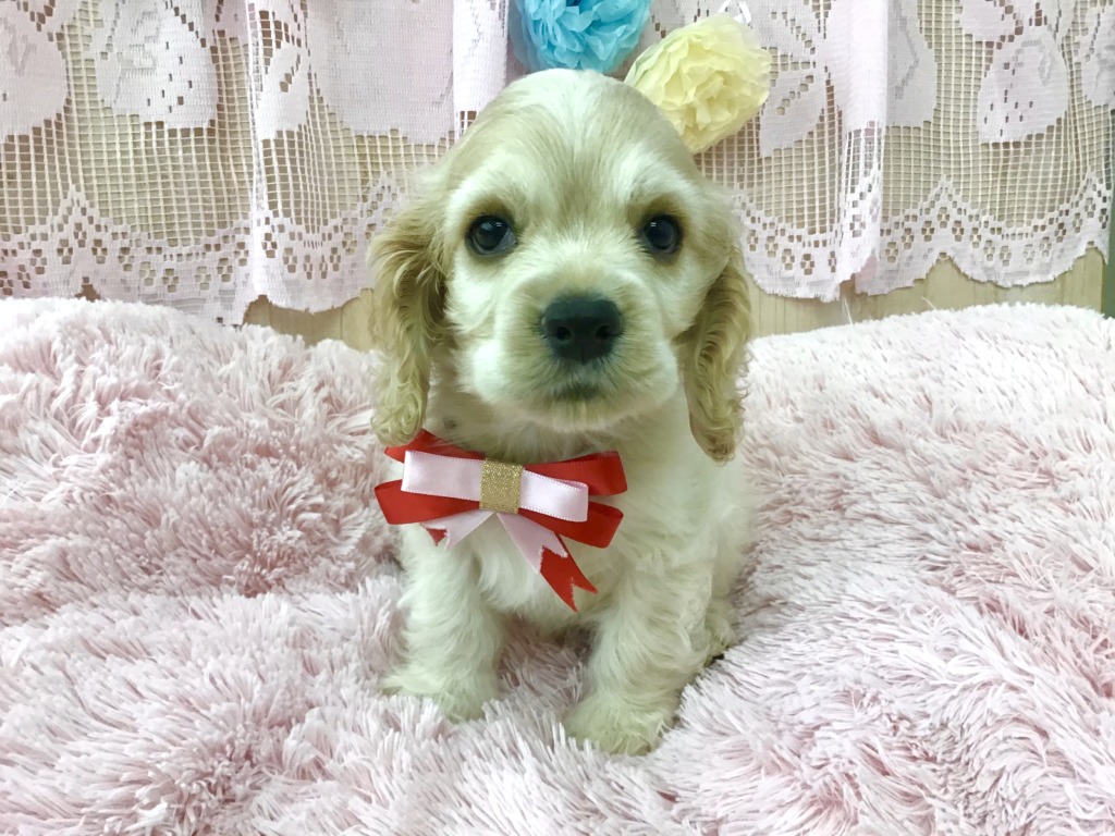 バトンタッチ❤
