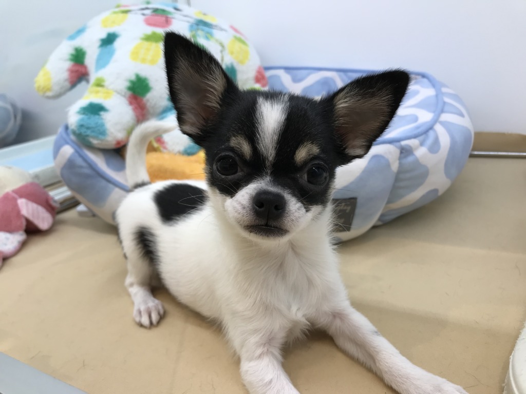 ✨ＮＥＷ✨バトンタッチ！
