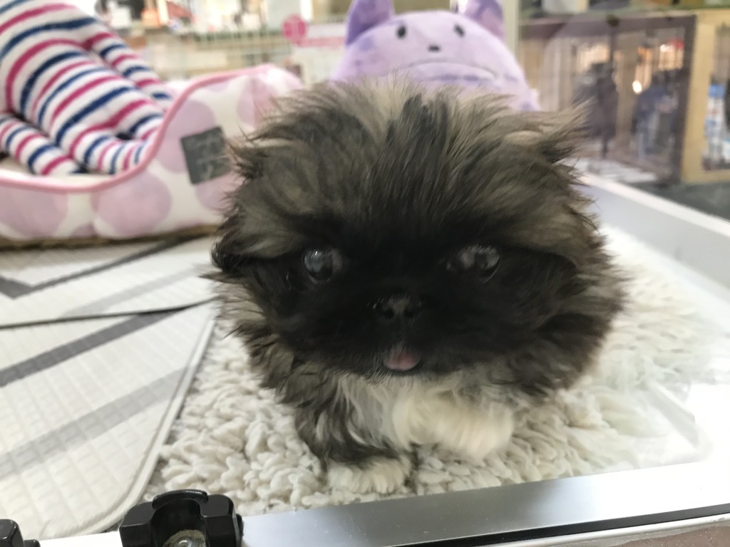 バトンタッチ💜