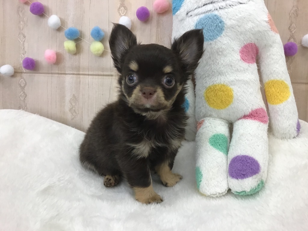 ちーちゃんお引越し！！
