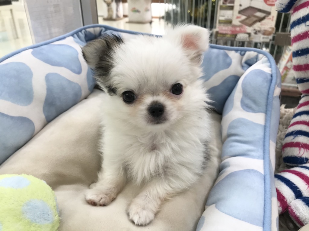 バトンタッチ💜