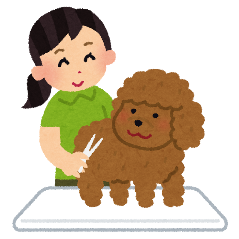 ✂本店トリミングのご予約状況✂