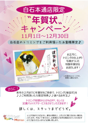 トリミング空き状況☆