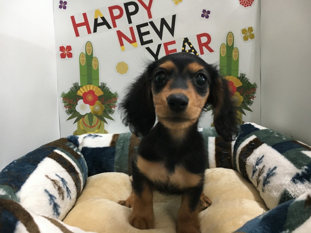 今年も１年ありがとうございました☆