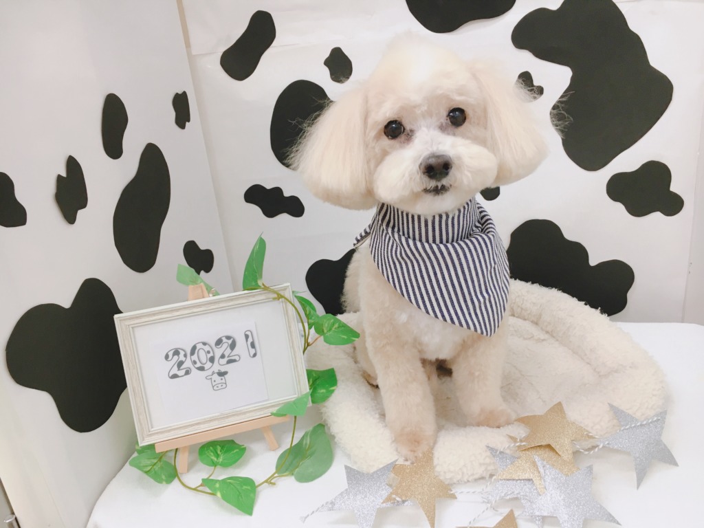 ★小樽店トリミングのお知らせ★