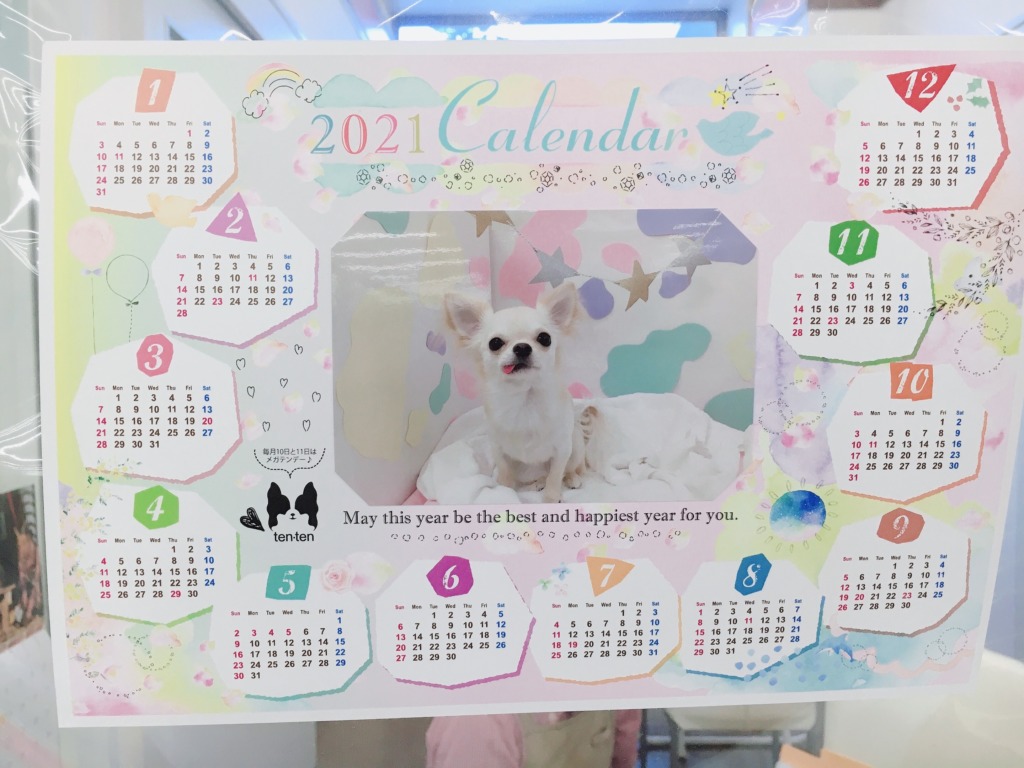 ▲小樽店トリミング予約状況▲