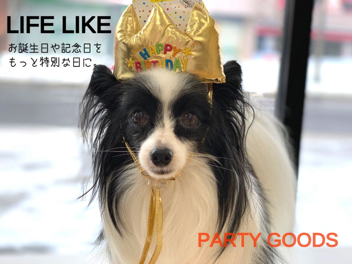 ☆LIFE LIKEパーティーグッズ☆