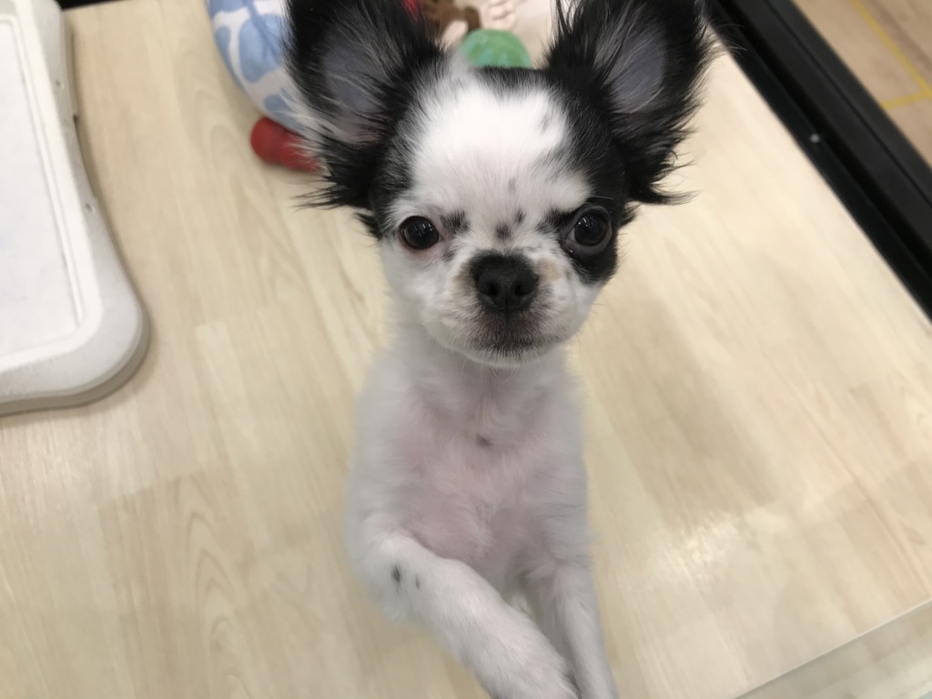 ご報告☆