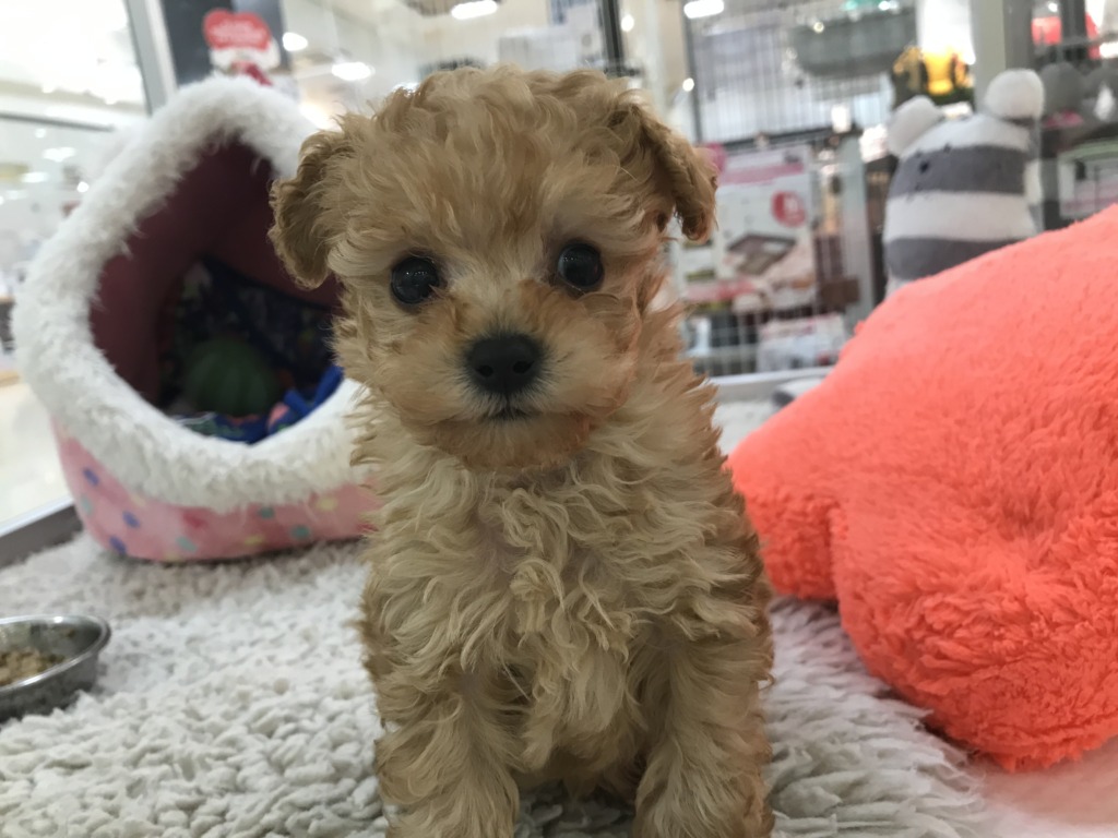 バトンタッチ♥