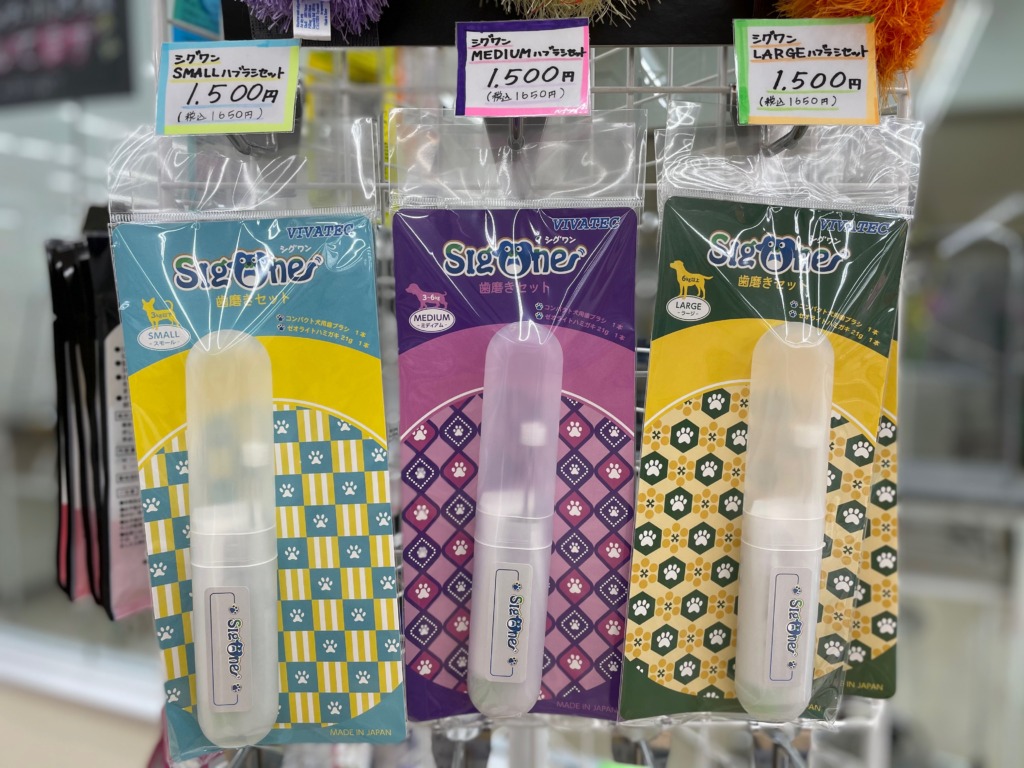 おすすめ商品🦷