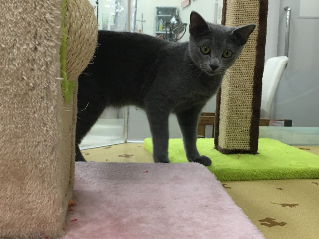 小樽店の男の子たちをご紹介☆