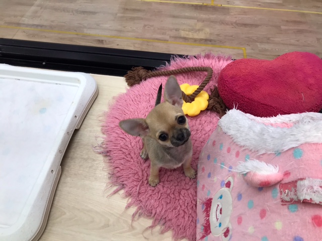 楽しそうでっ～～　Bｙチーちゃん