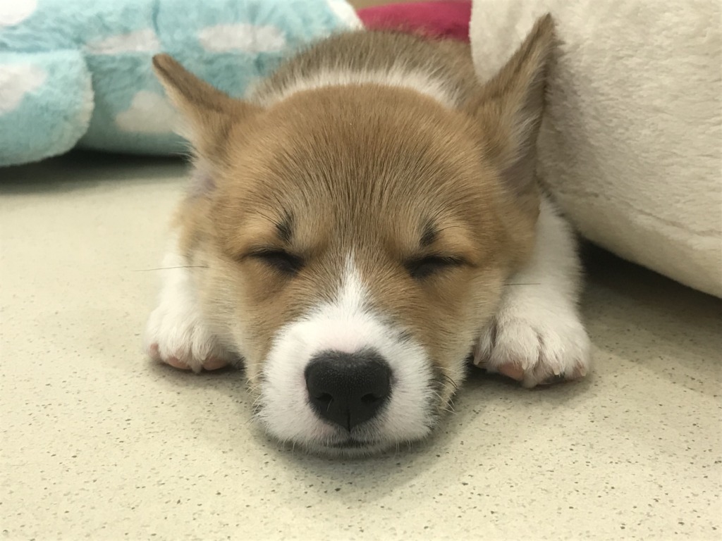 ☆プレイルームデビュー☆