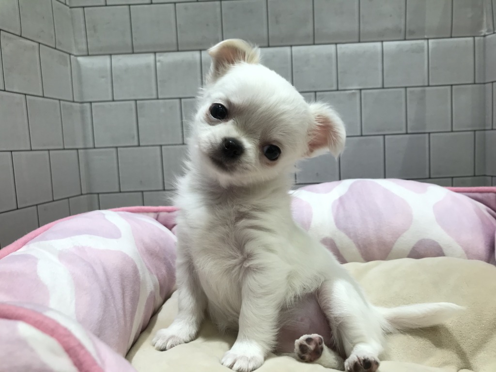 懐っこさ満点🌸