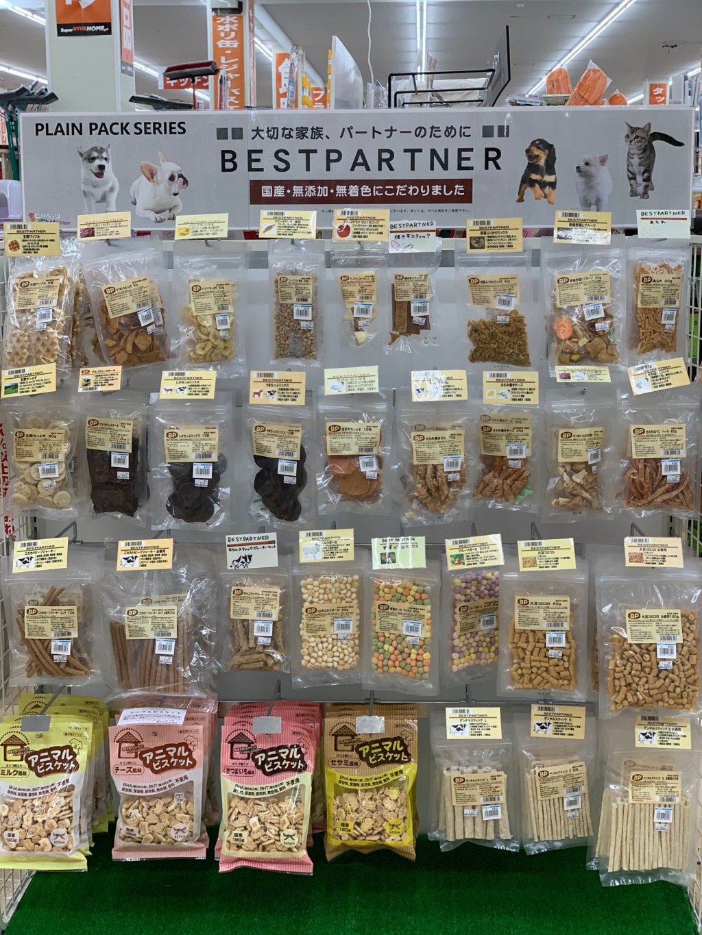 オススメ商品🌷ベストパートナー