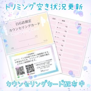 トリミング空き状況☆