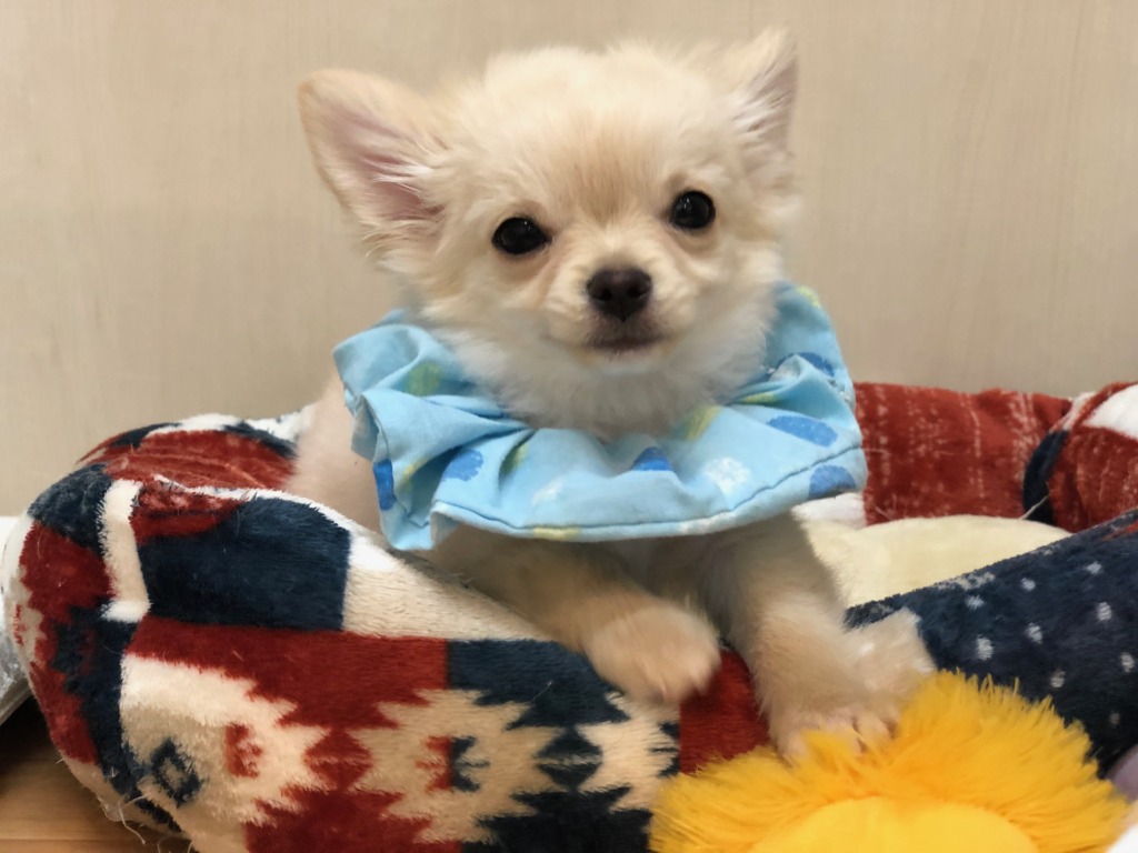 💕おちゃめな一面💕