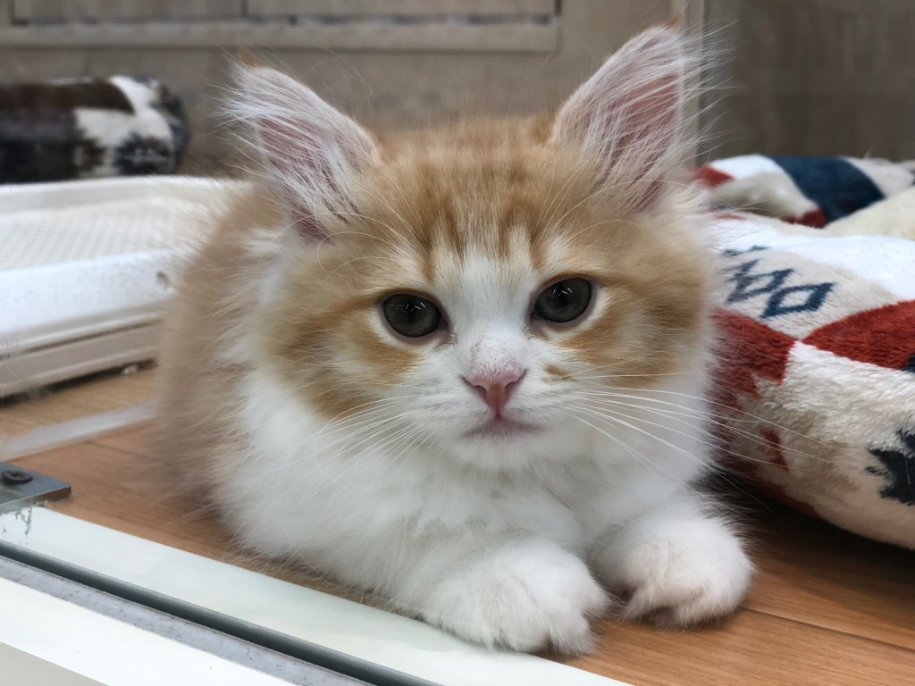 💕ふわふわ💕