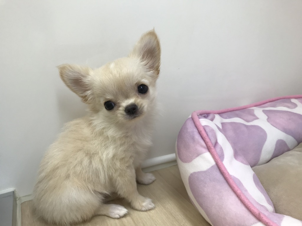 ★今日のちーちゃん★
