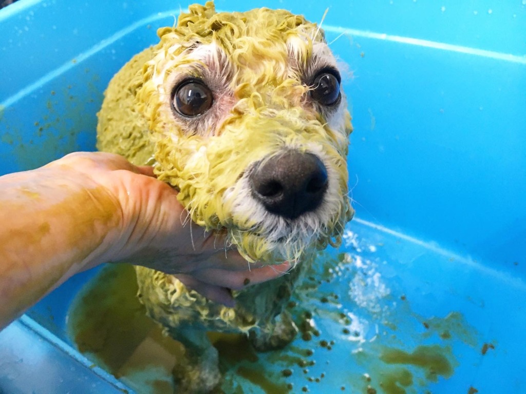 ✂trimming✂ハーブパックキャンペーン中♡