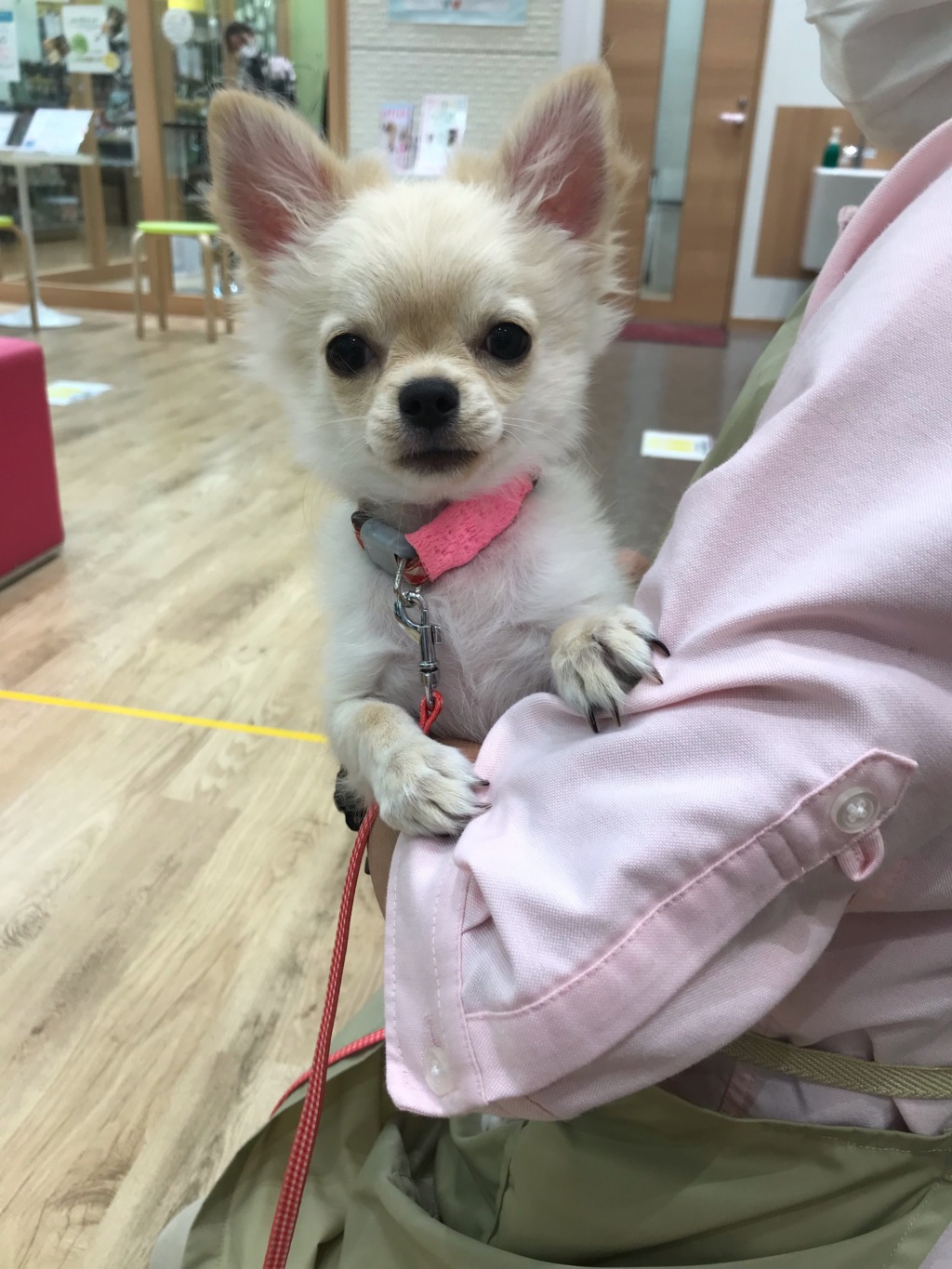 ☆かわいいちーちゃん☆