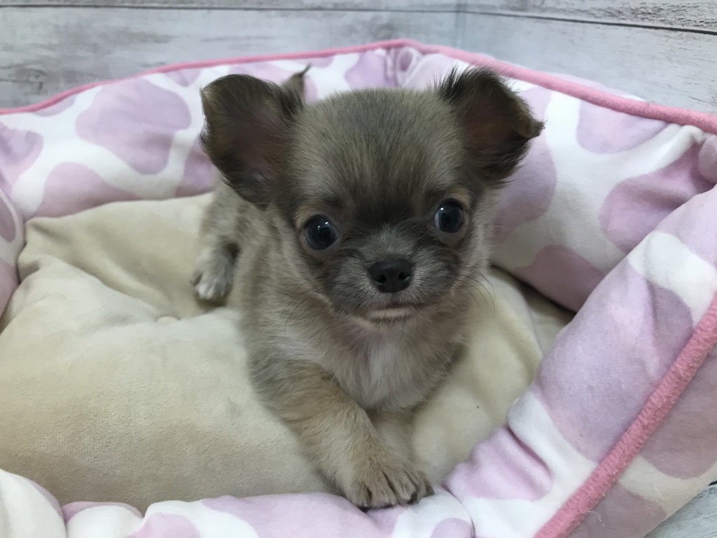 ♡バトンタッチ♡