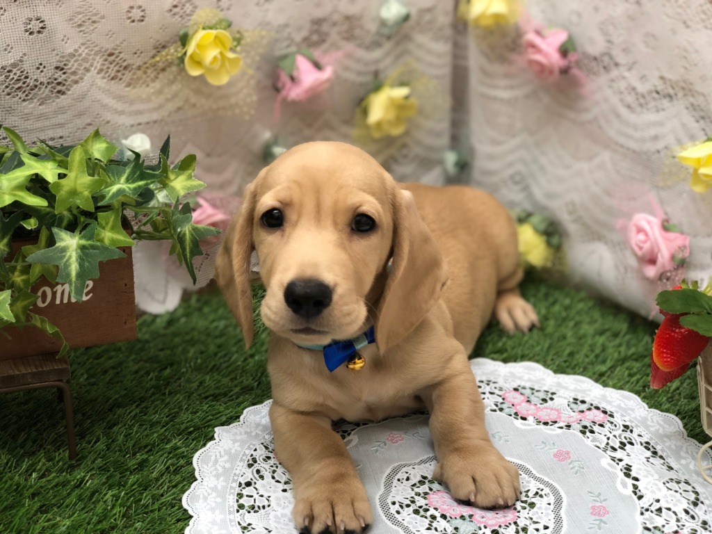 可愛い寝顔💘