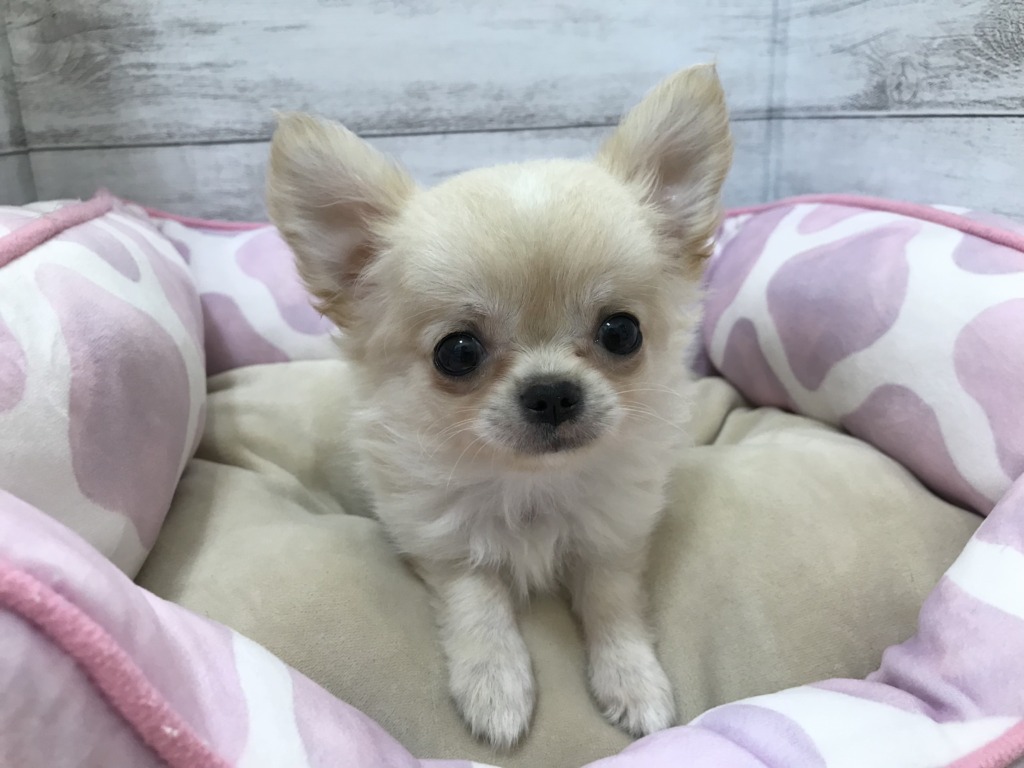 バトンタッチ☆