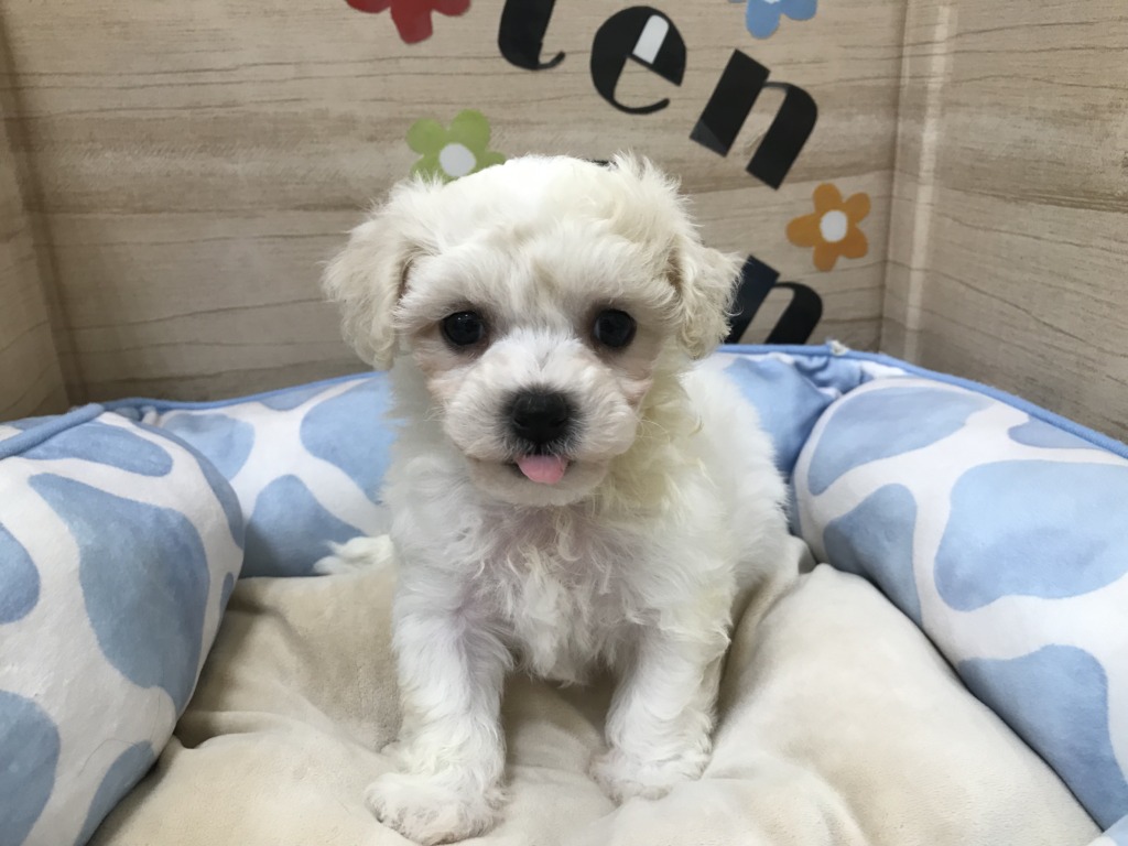 バトンタッチ☆彡