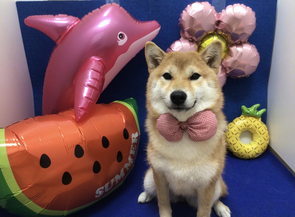 ☆可愛いお写真プレゼント☆