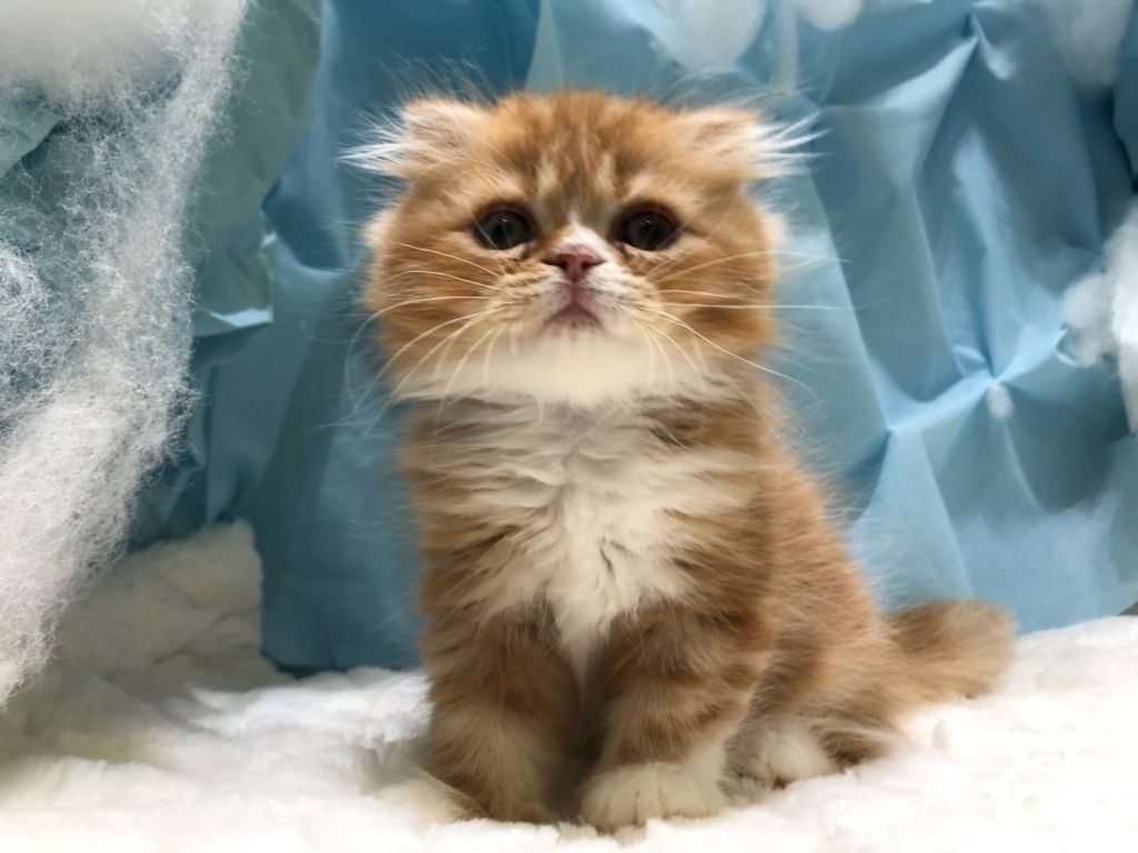 じゃ・じゃーーーーーん♪
