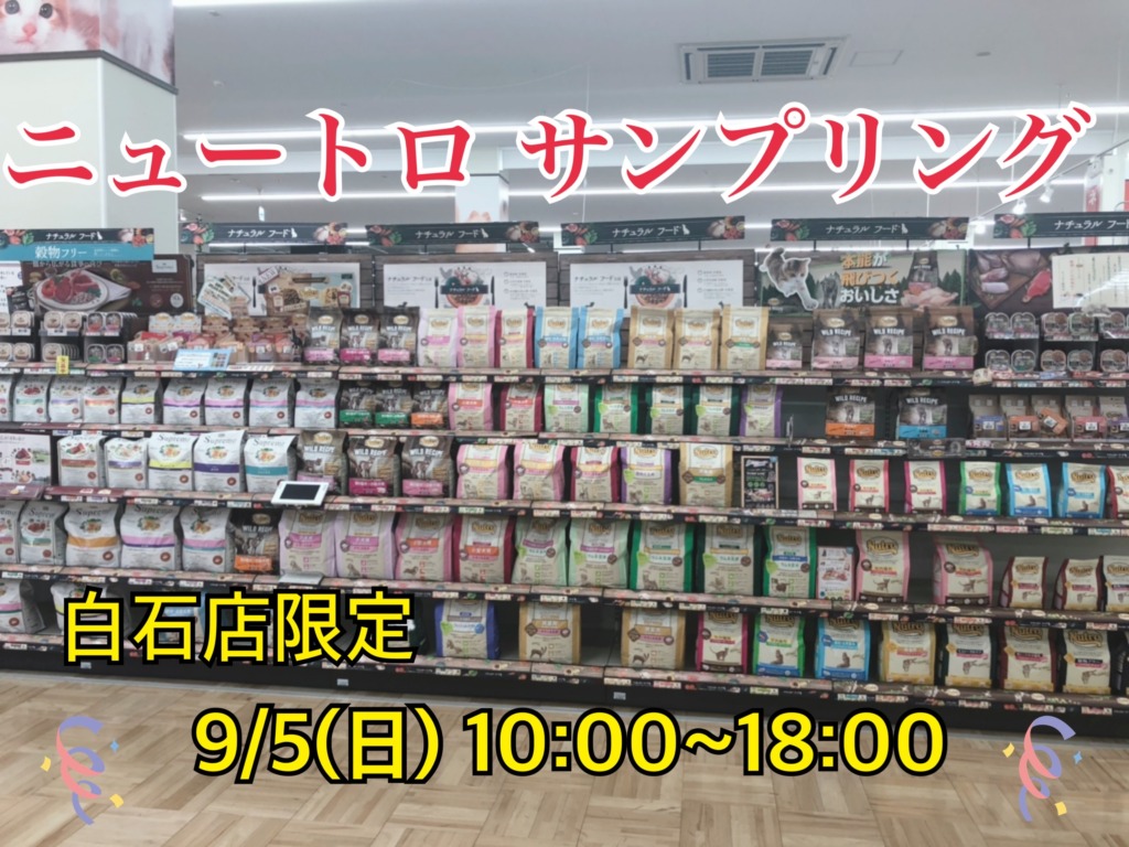 ✨サンプリング会✨